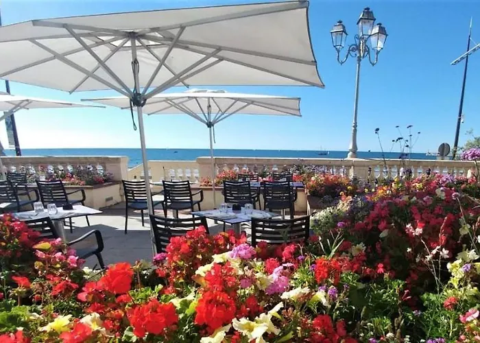 Cocon - Castelnaud Les Sables-dʼOlonne